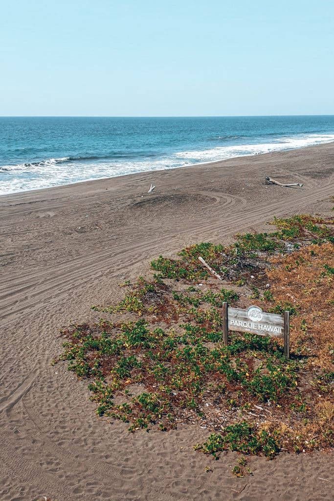 Volunteering-with-animals-jillonjourney-17 The beach of ARCAS Parque Hawaii, Guatemala