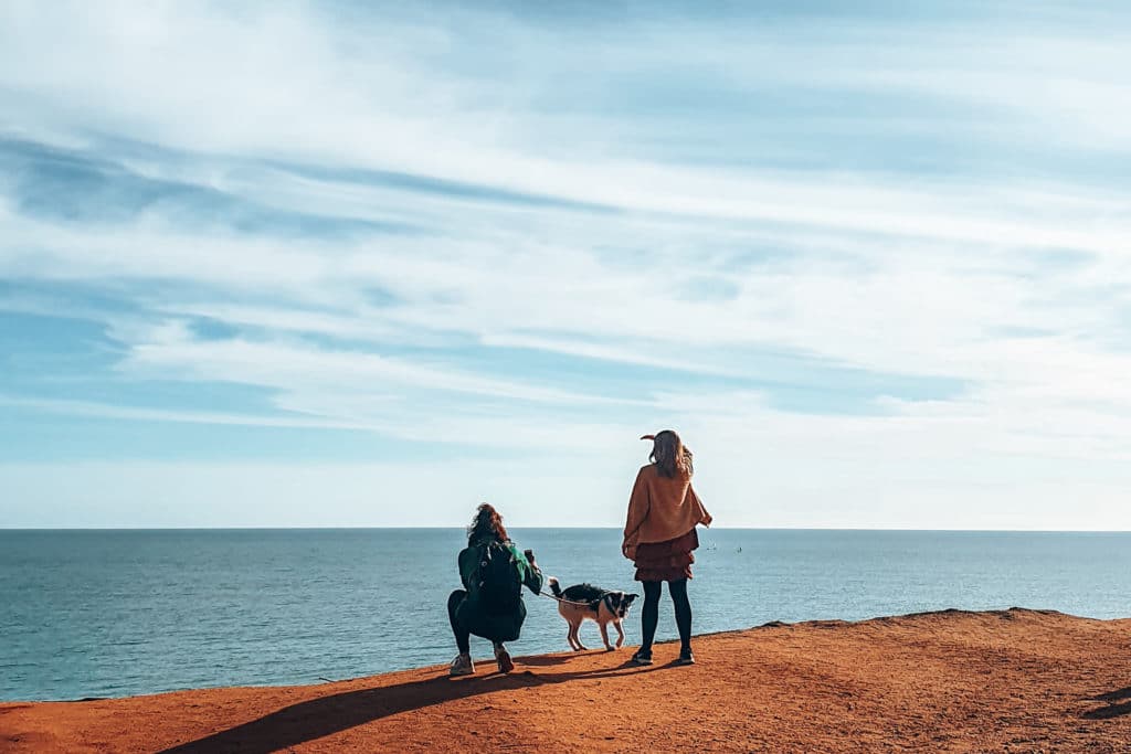 Volunteering with animals in the Algarve / Freiwilligenarbeit mit Tieren in der Algarve