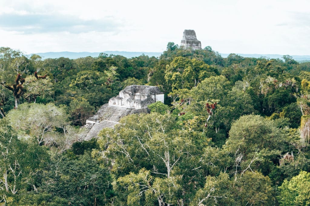 Don't miss Tikal on your Guatemala itinerary / Die Tempel von Tikal gehören auf jede Guatemala Backpacking Route