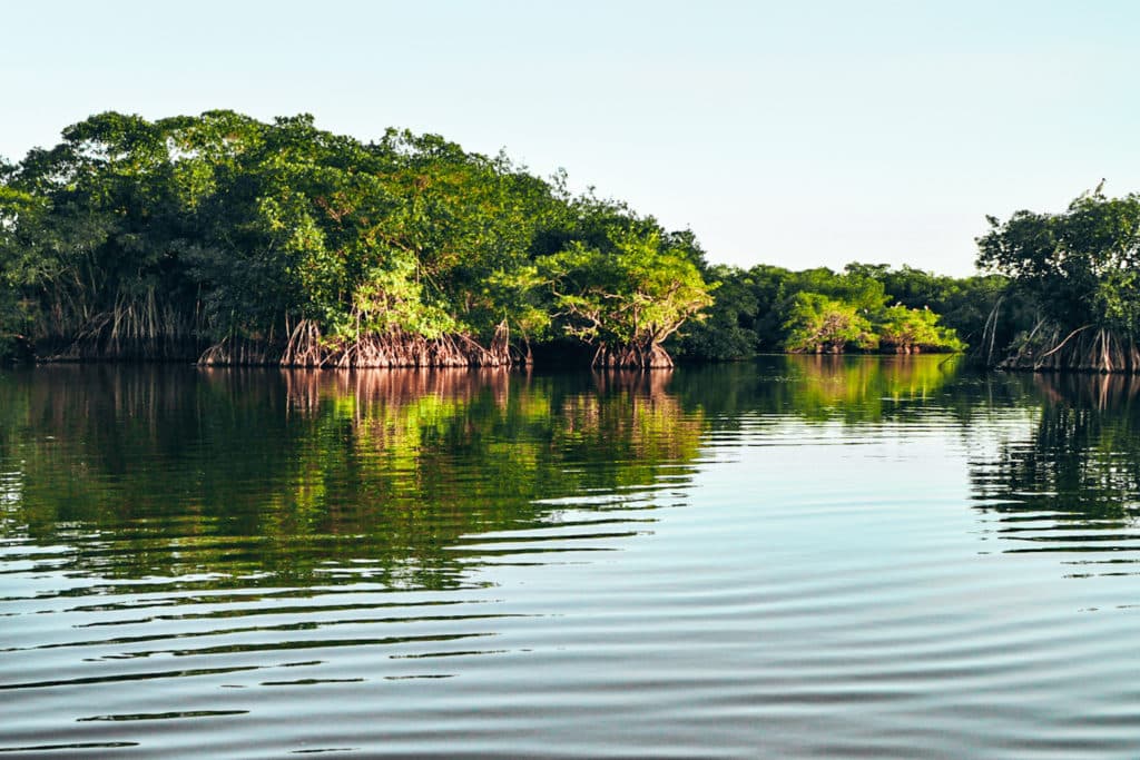 Rio Dulce is a highlight on your Guatemala itinerary / Rio Dulce ist ein Highlight beim Backpacking in Guatemala