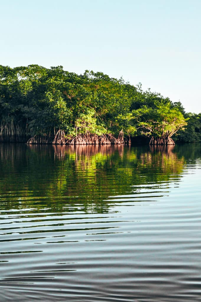 A boatride into the mangroves should be on any Guatemala backpacking itinerary / Eine Bootsfahrt in die Mangroven sollte auf jeder Guatemala Backpacking Route stehen