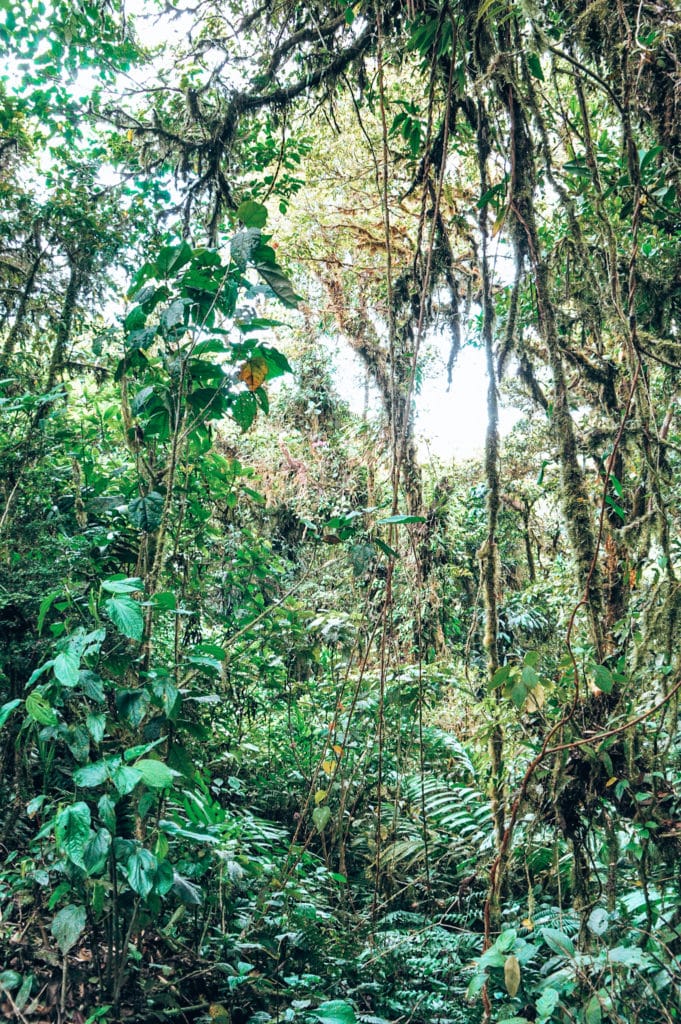 Backpacking in Costa Rica / Costa Rica Reisetipps