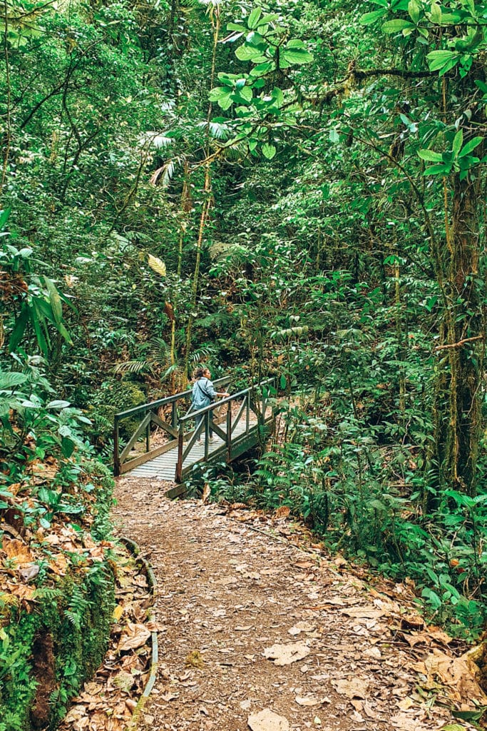 Walking in a Costa Rica national park