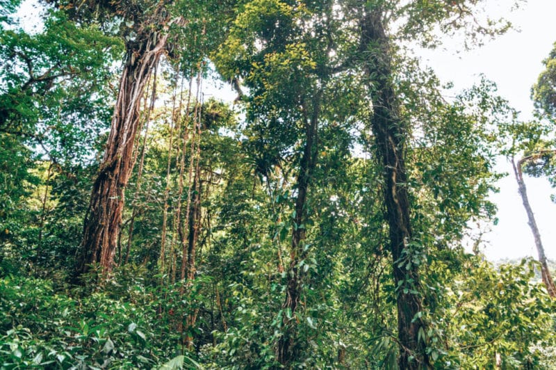 Nature in Costa Rica