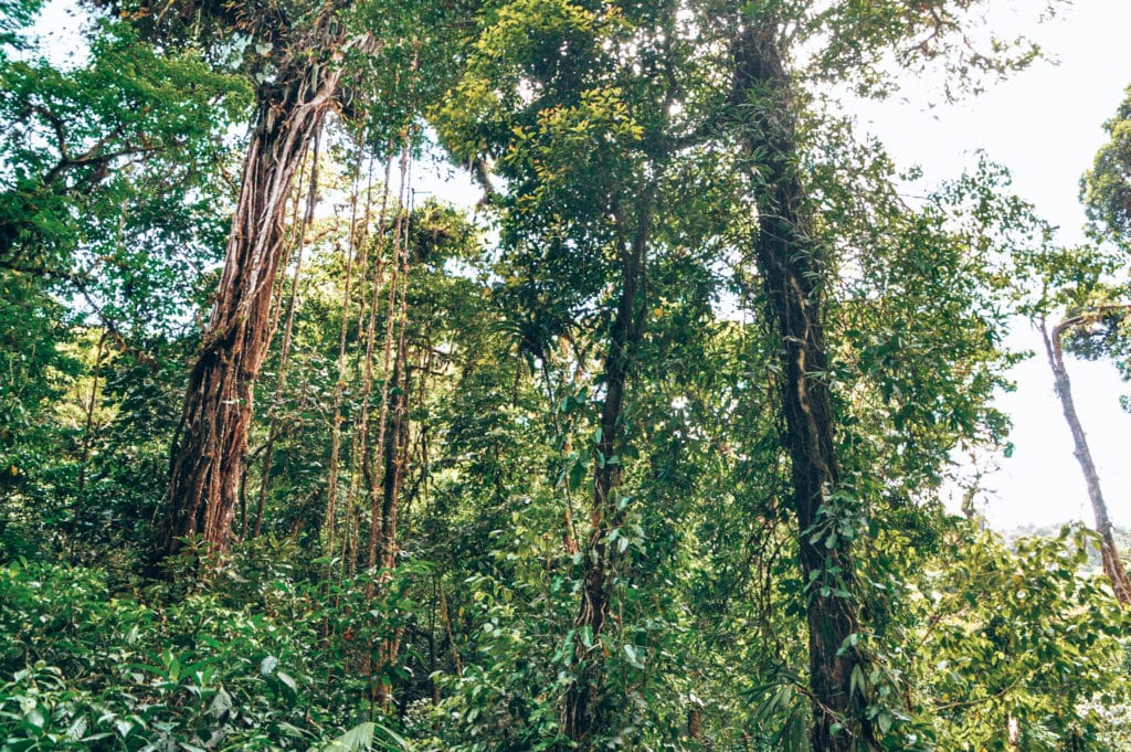 Costa Rica backpacking