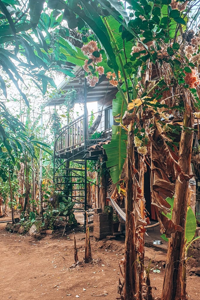 Casa Papaki in Ometepe