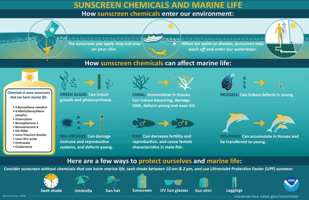 Sunscreen chemicals infographic