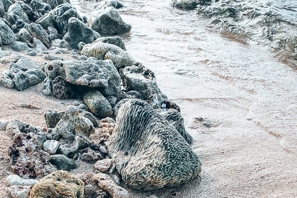 Sustainable sunscreen protects coral reefs