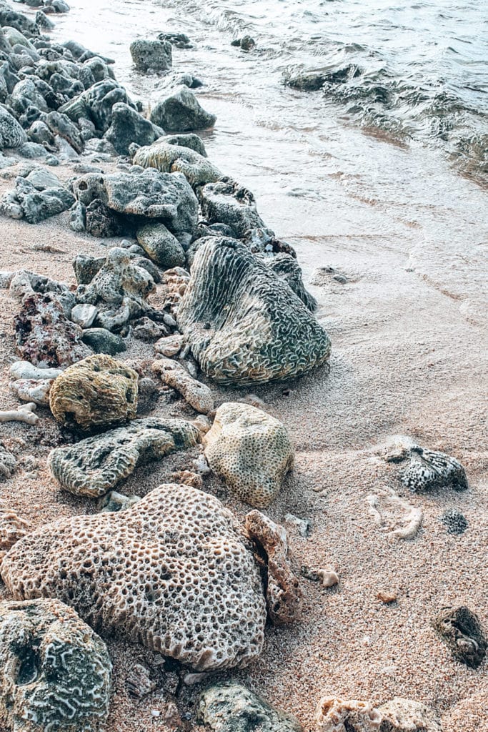 Sustainable sunscreen protects coral reefs