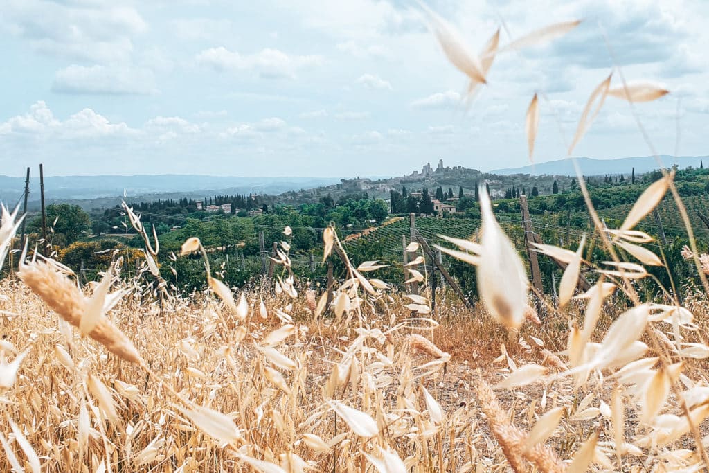 Beautiful countryside on a Tuscany itinerary