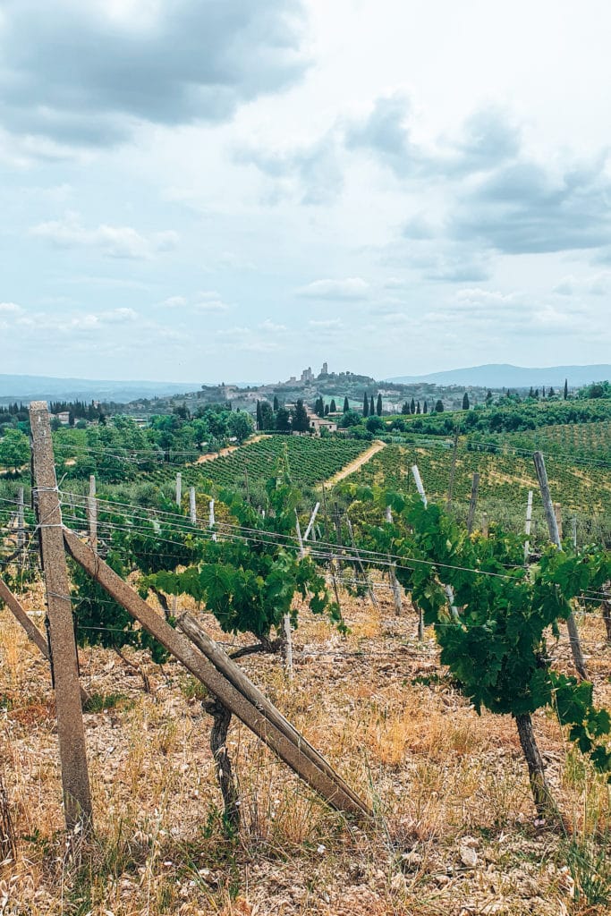 Tuscany-road-trip-jillonjourney (22) View on San Gimignano