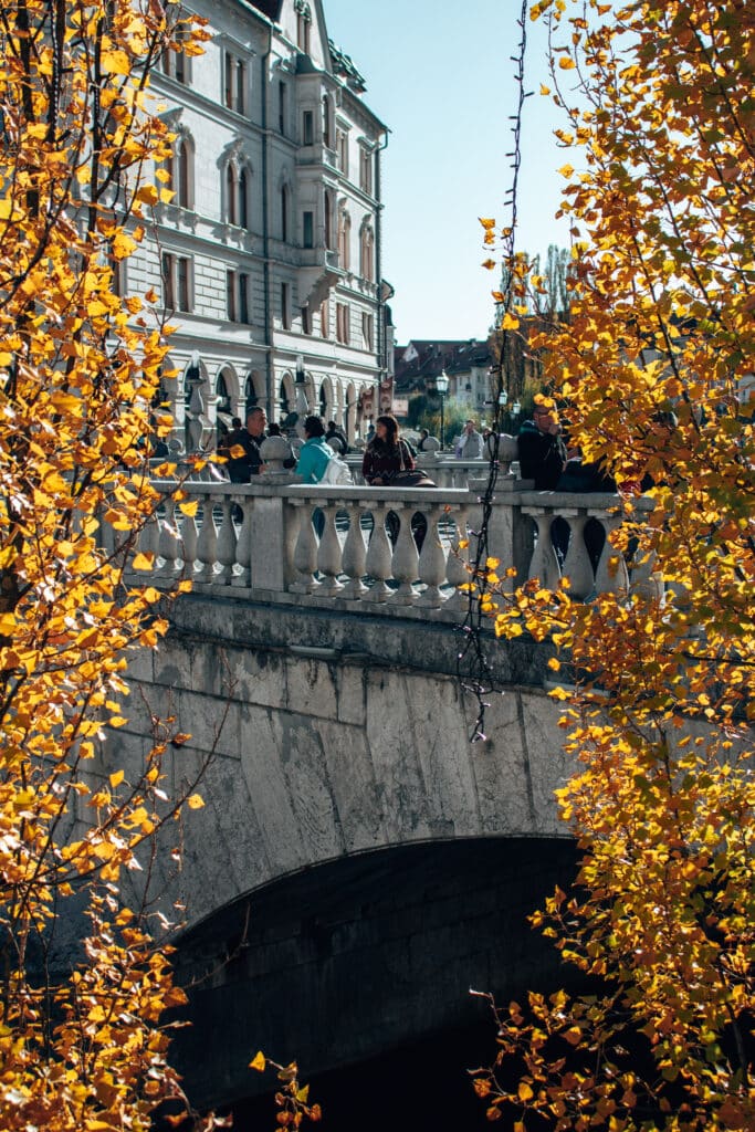 Slovenia_road_trip_itinerary (19) Ljubljana bridge