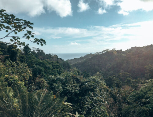 DIE SCHÖNSTEN ECO-LODGES IN COSTA RICA | Nachhaltige Unterkünfte für jedes Budget