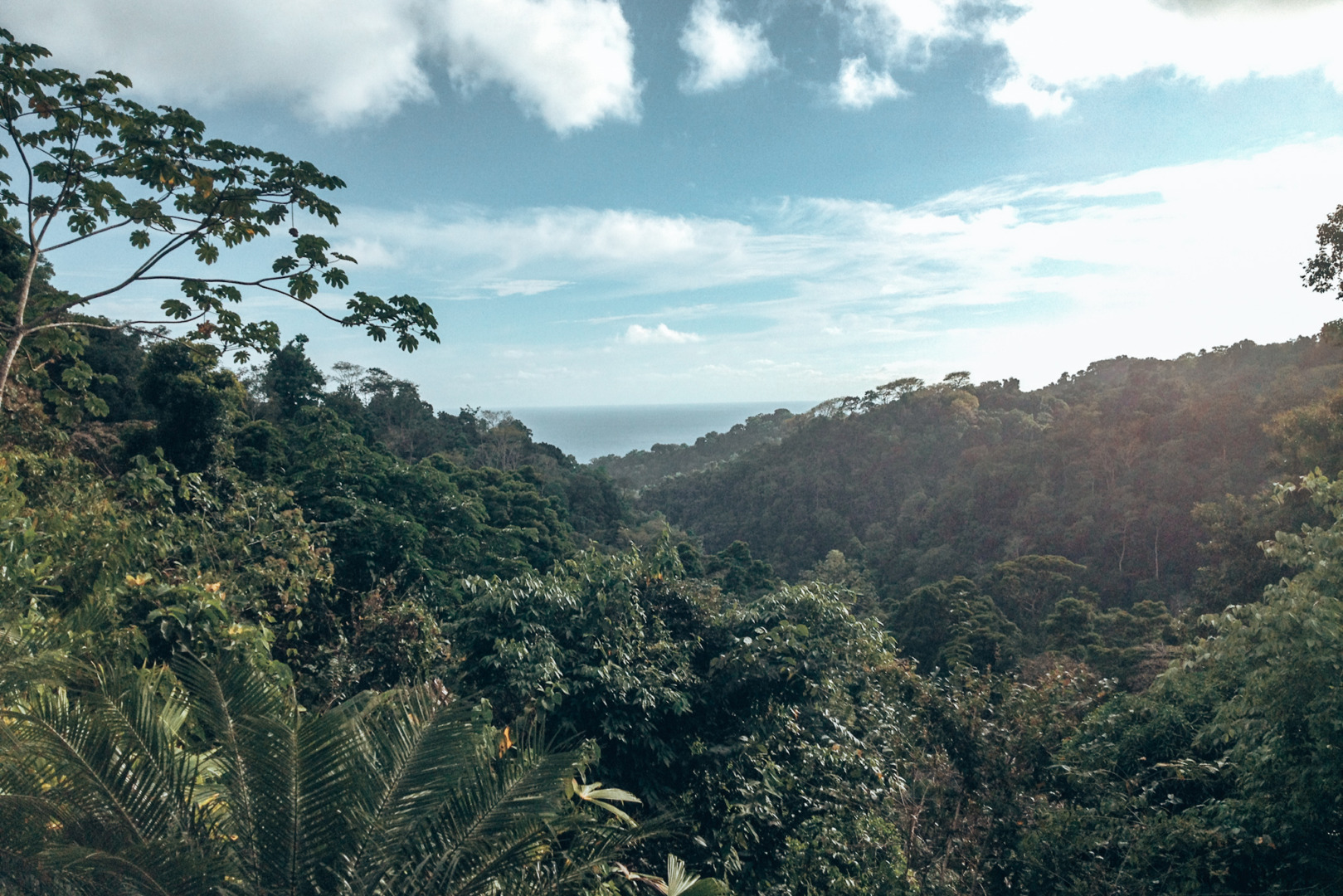 View from Luna eco-lodge in Costa Rica