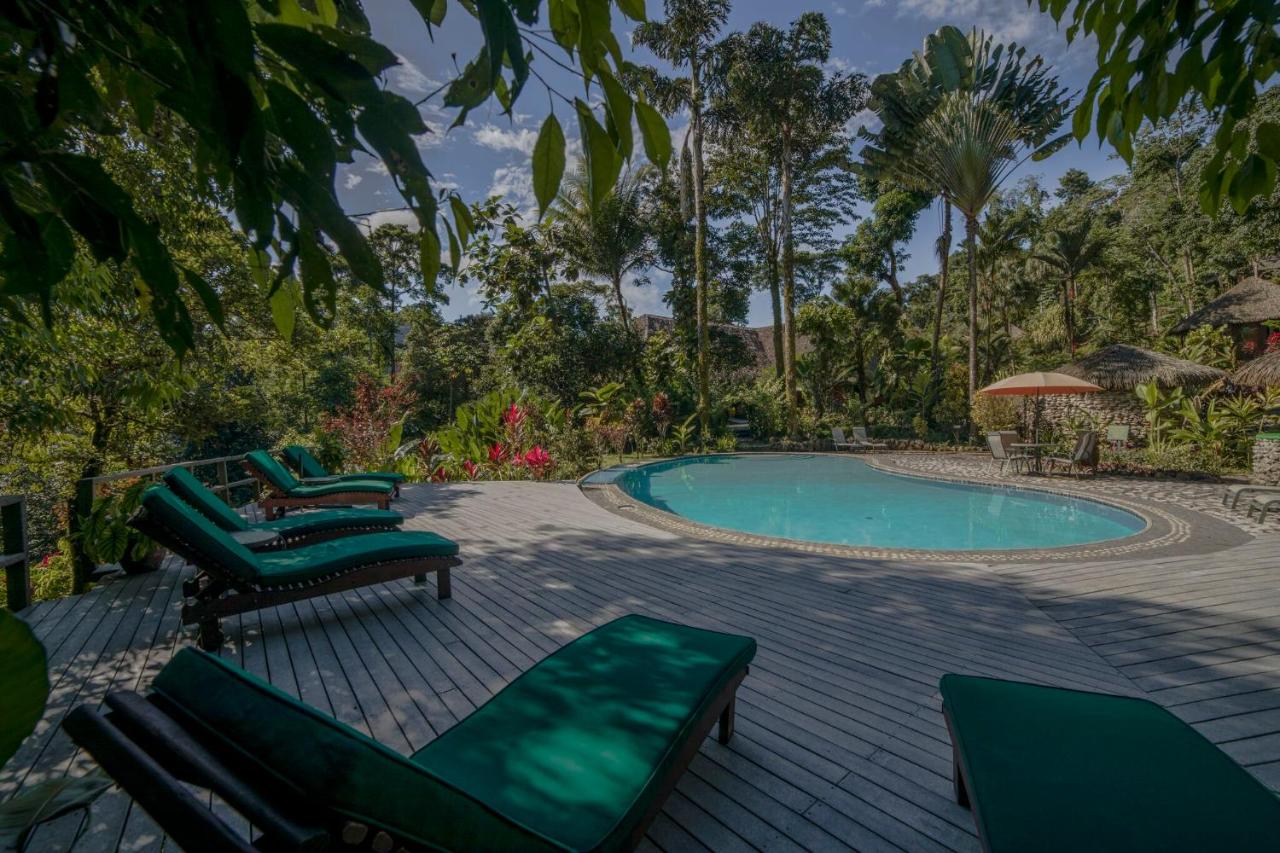 Luna-Lodge-Costa-Rica Luna Lodge Costa Rica