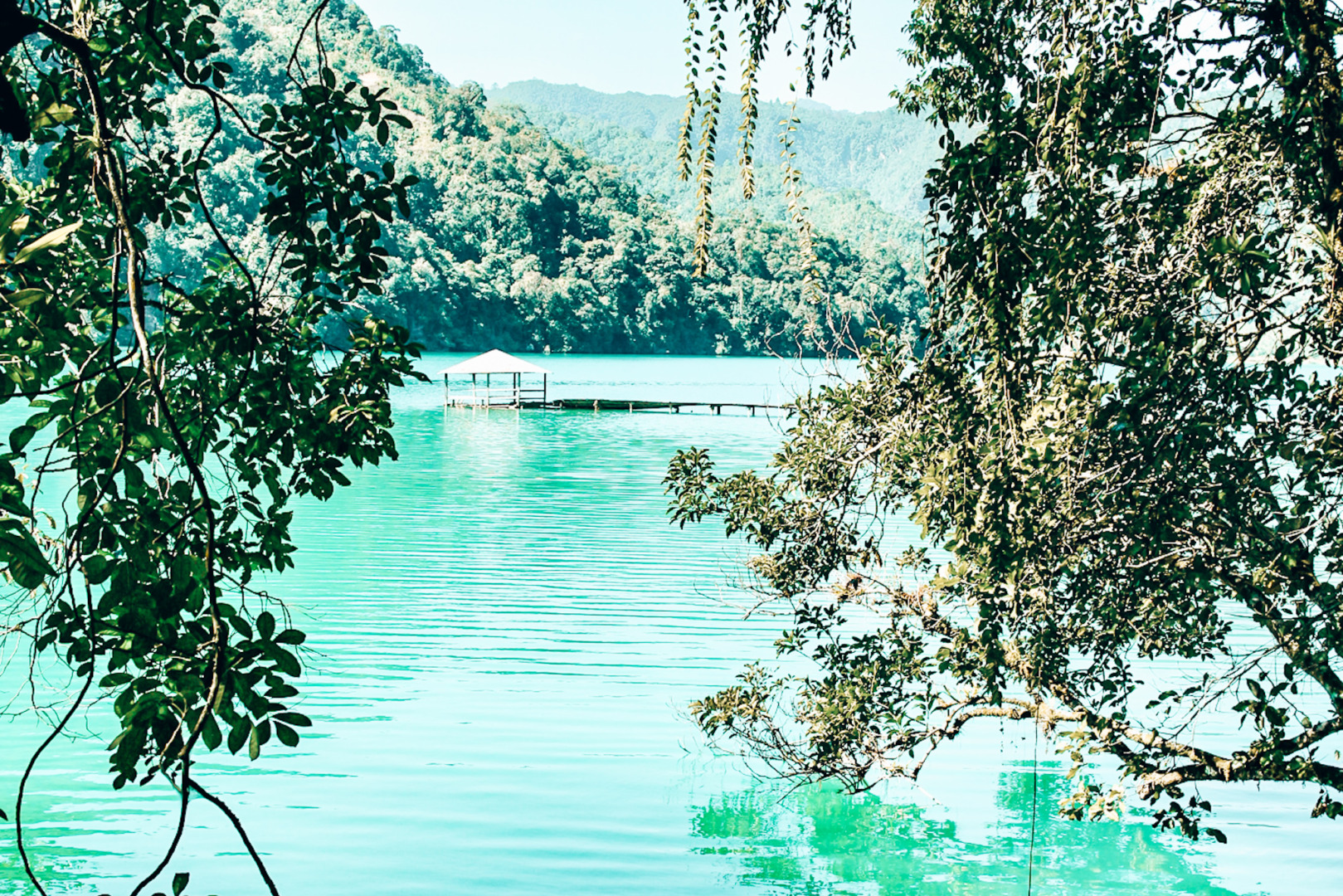 Laguna Brava, Guatemala