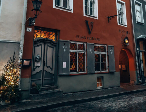 TRAVELING AS A VEGAN | 16 tips for a delicous trip