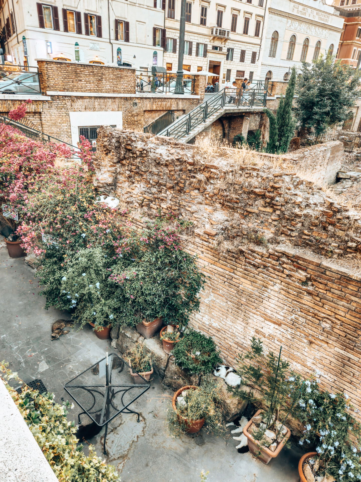 Torre de Feline, a non-touristy thing to do in Rome / Das Cat Sanctuary am Torre de Feline ist einer der unbekannten Rom Tipps