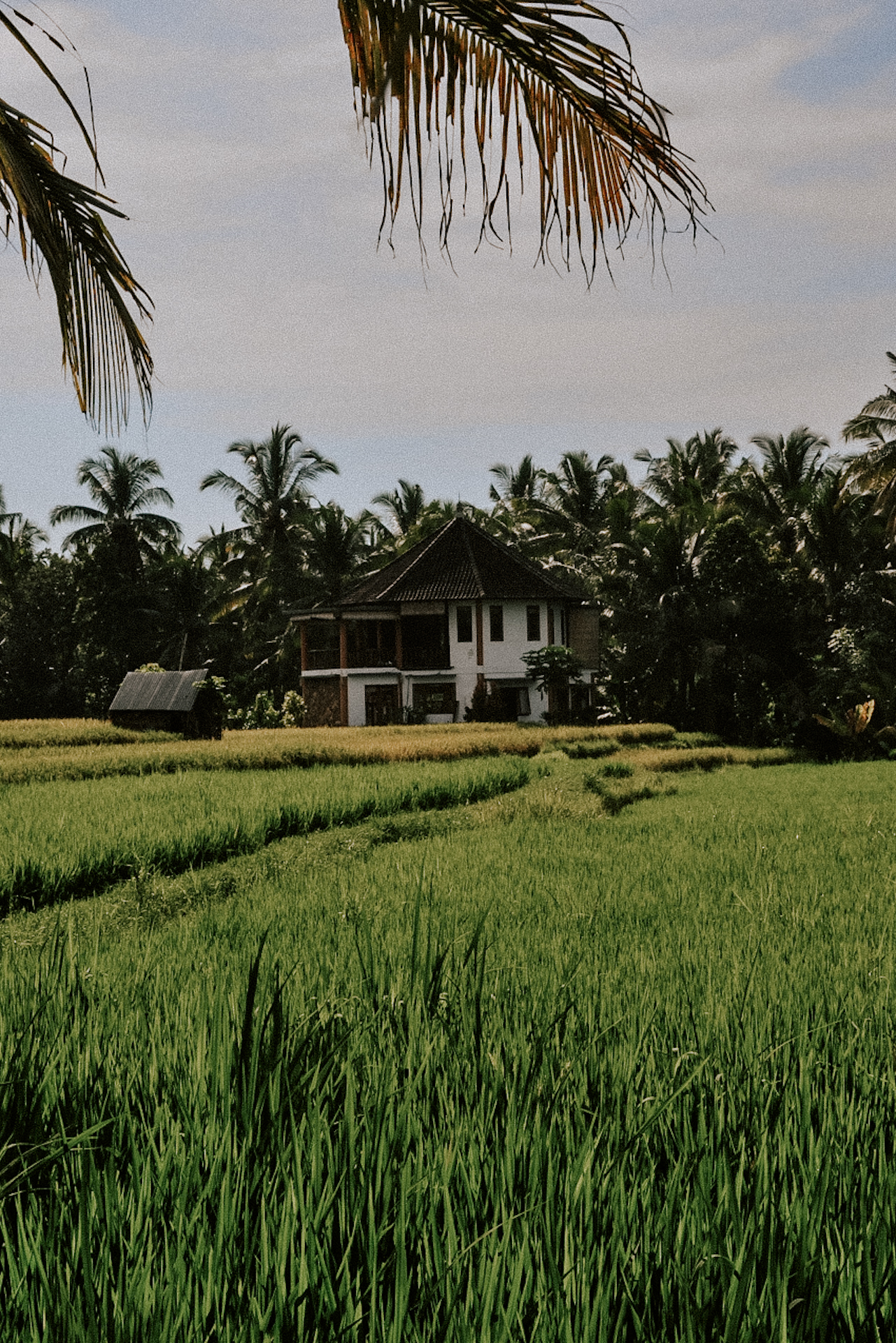 Bali, Indonesia itinerary