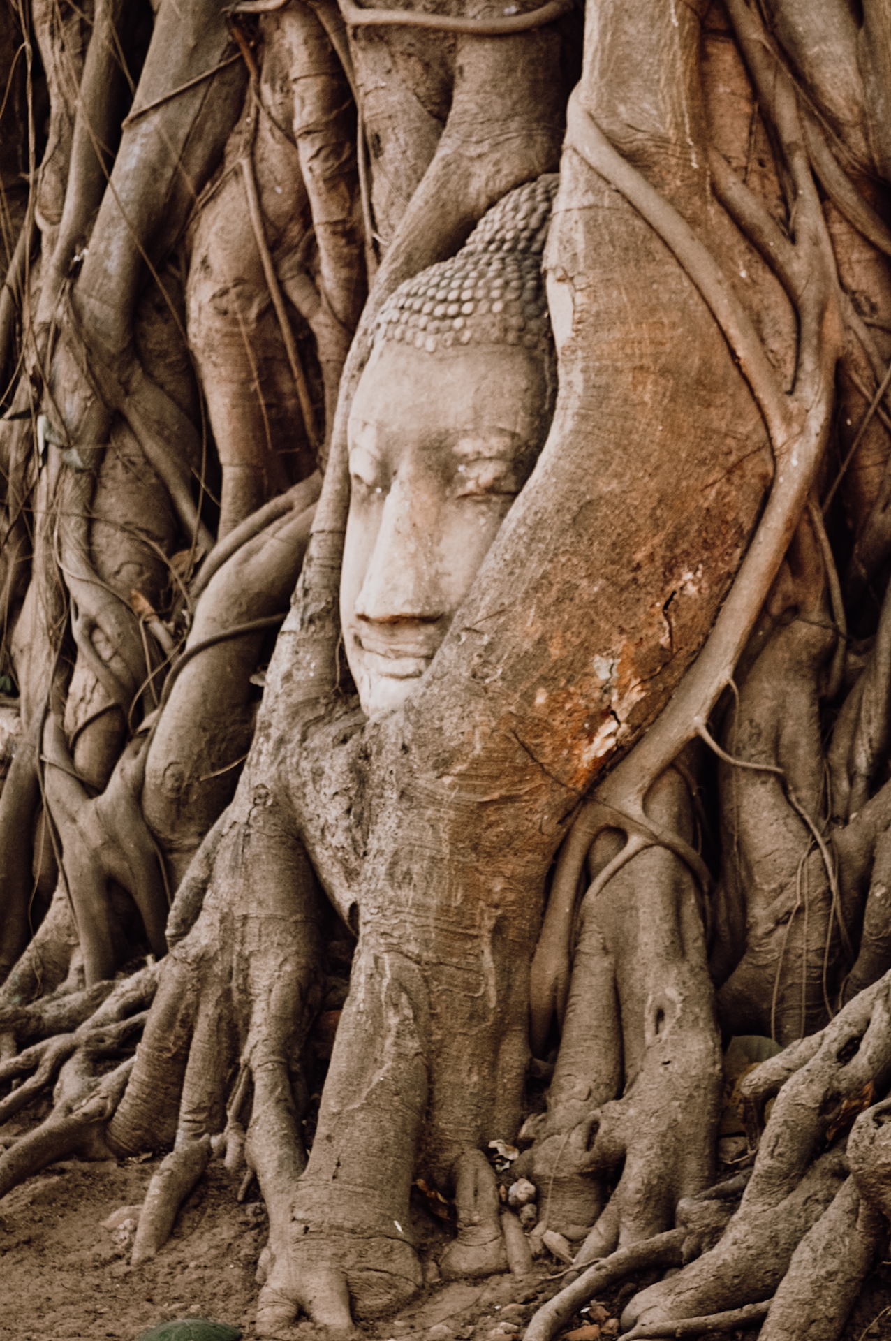 Buddha in Ayutthaya, a famous stop on a Thailand itinerary