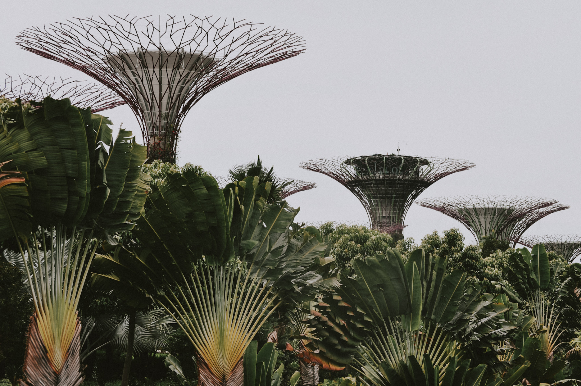 Unique things to do in Singapore | Singapur Reisetipps