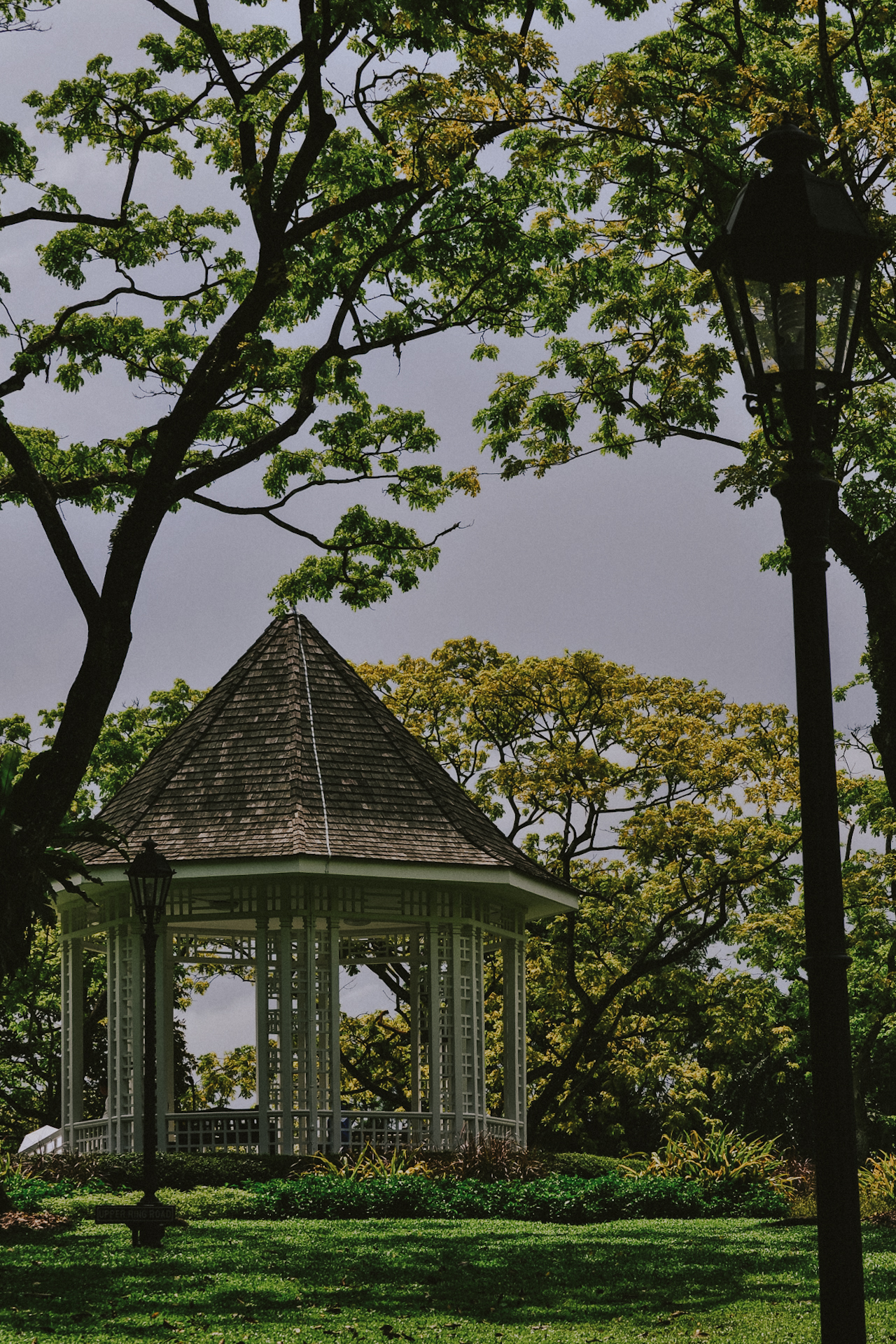 Botanical Gardens, a unique thing to do in Singapore | Botanical Gardens, ein schöner Singapur Geheimtipp