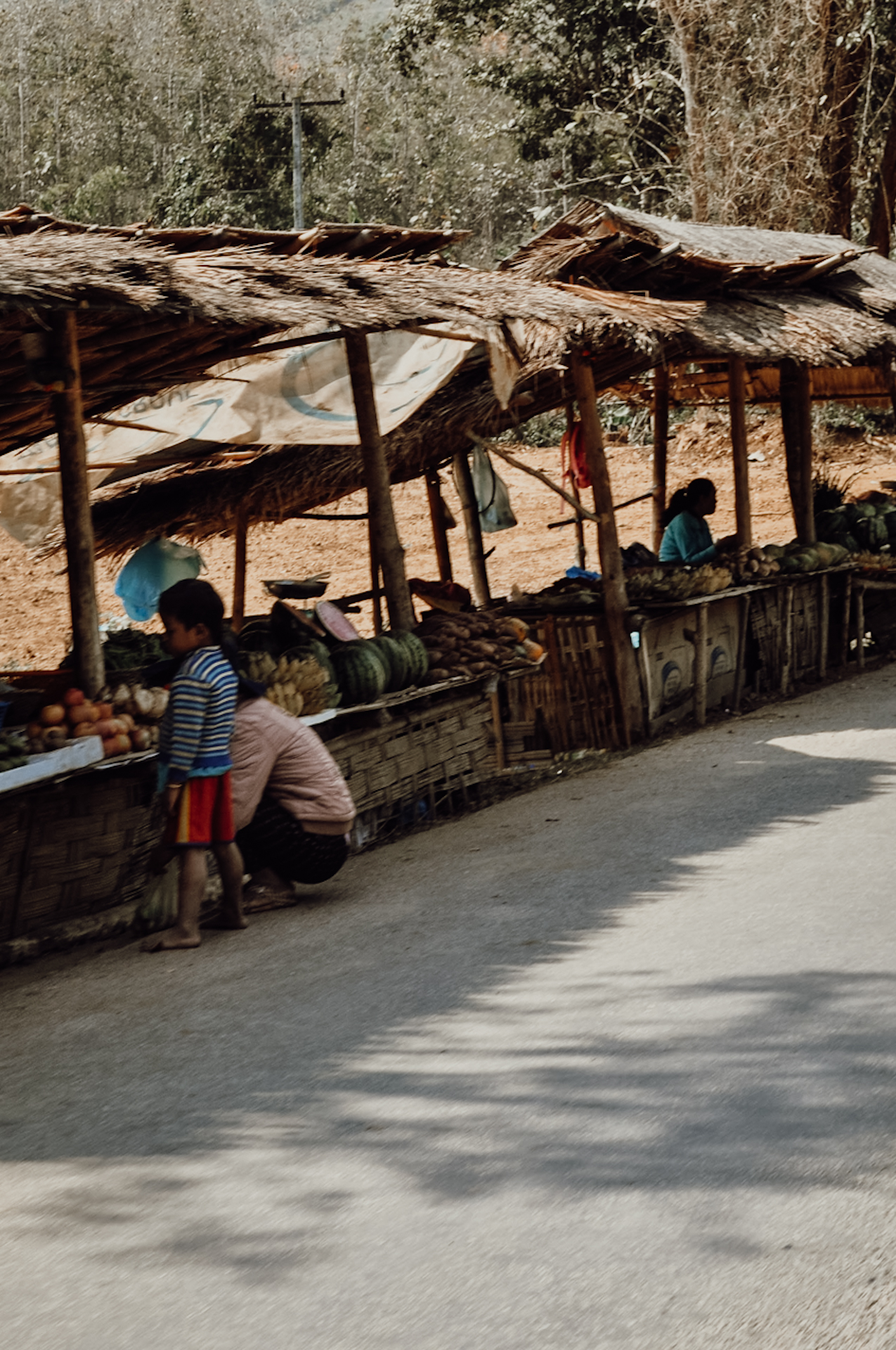 Fruit stalls on my Laos backpacking itinerary / Obststände auf meiner Laos Reiseroute