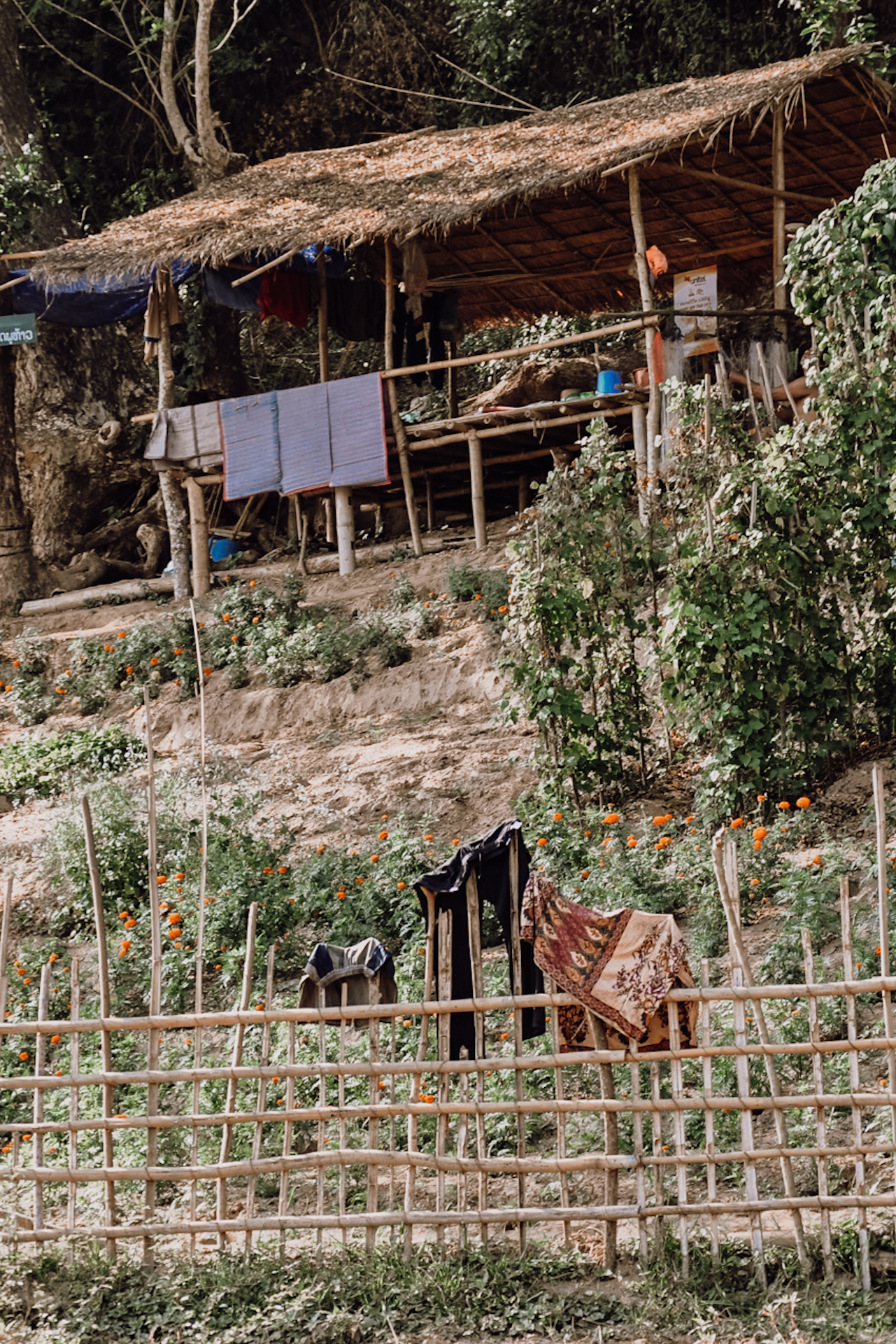 Basic homes on my Laos itinerary / Einfache Bambushäuser beim Backpacking in Laos