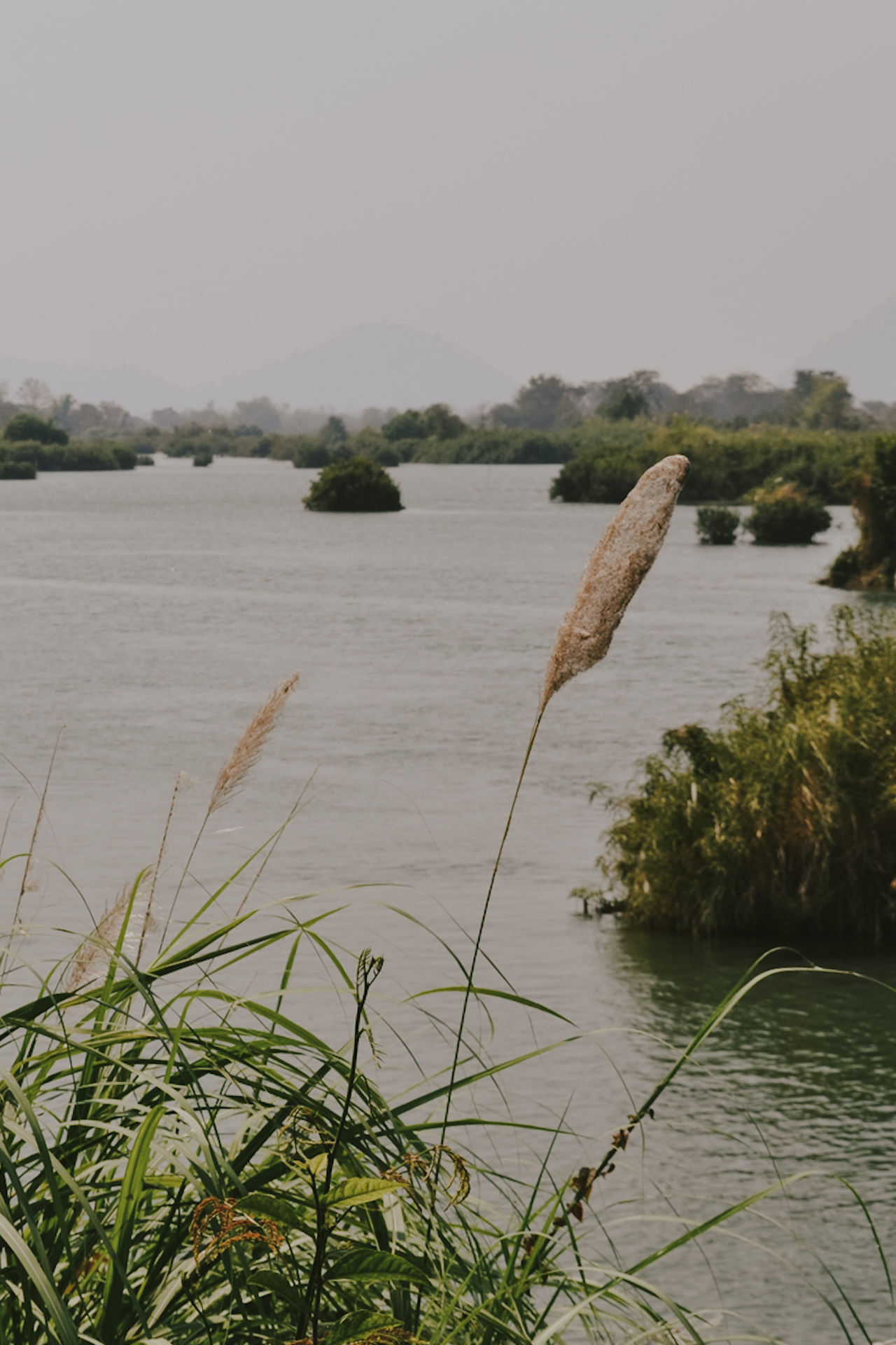 4000 islands, a highlight on my Laos backpacking itinerary / 4000 Islands, ein Highlight auf meiner Laos Reiseroute