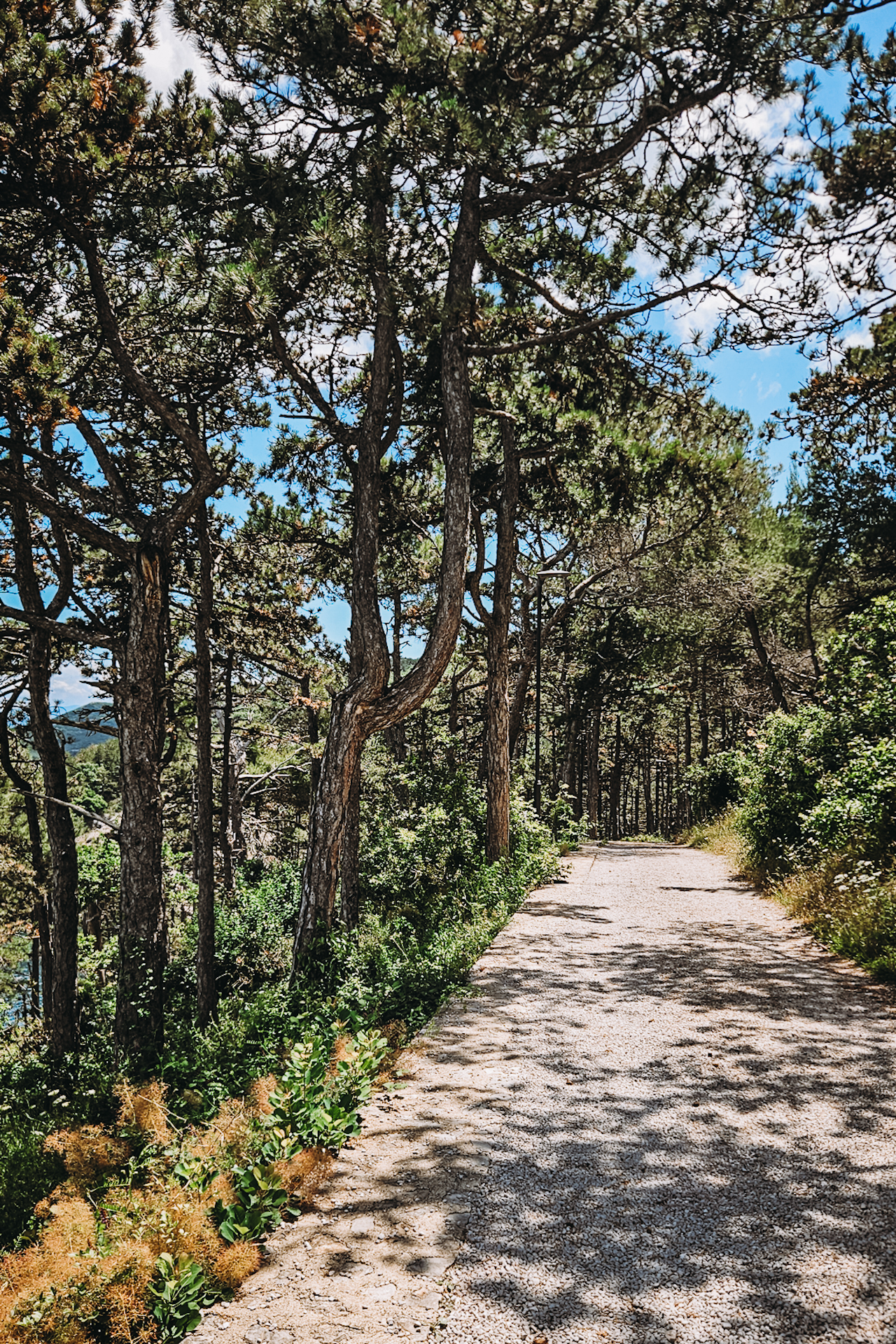 Hiking in Krk Island / Wandern in Krk, einer der schönsten Reisetipps in Krk in der Nebensaison