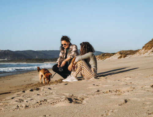 TrustedHousesitters | Exploring the world with furry company