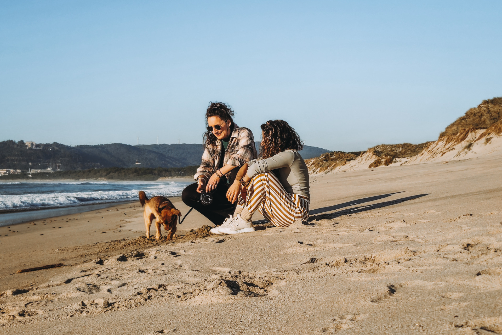 TrustedHousesitters review | House sitting app | jillonjourney / TrustedHousesitters Erfahrungen