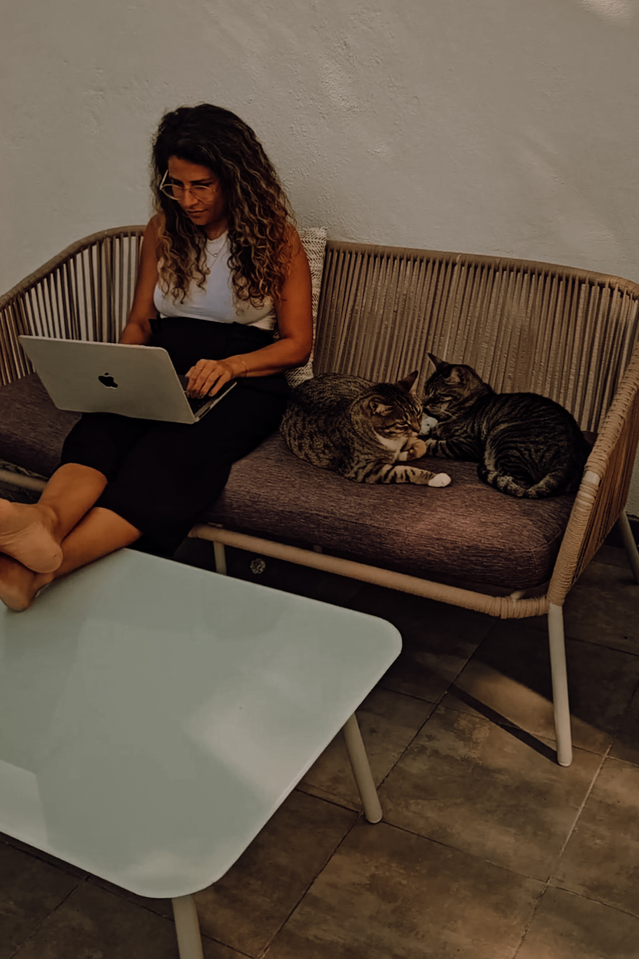housesitting_jillonjourney_1205-193710 TrustedHousesitters review | me with cats