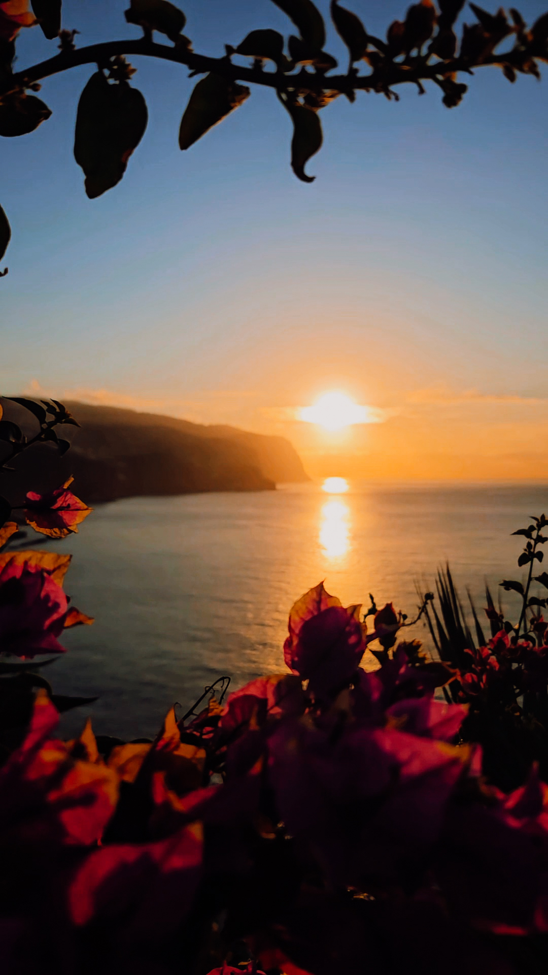 madeira_travel_guide_jillonjourney_195513 Sunny days, Madeira travel guide / Sonnige Tage, Madeira Reisetipps