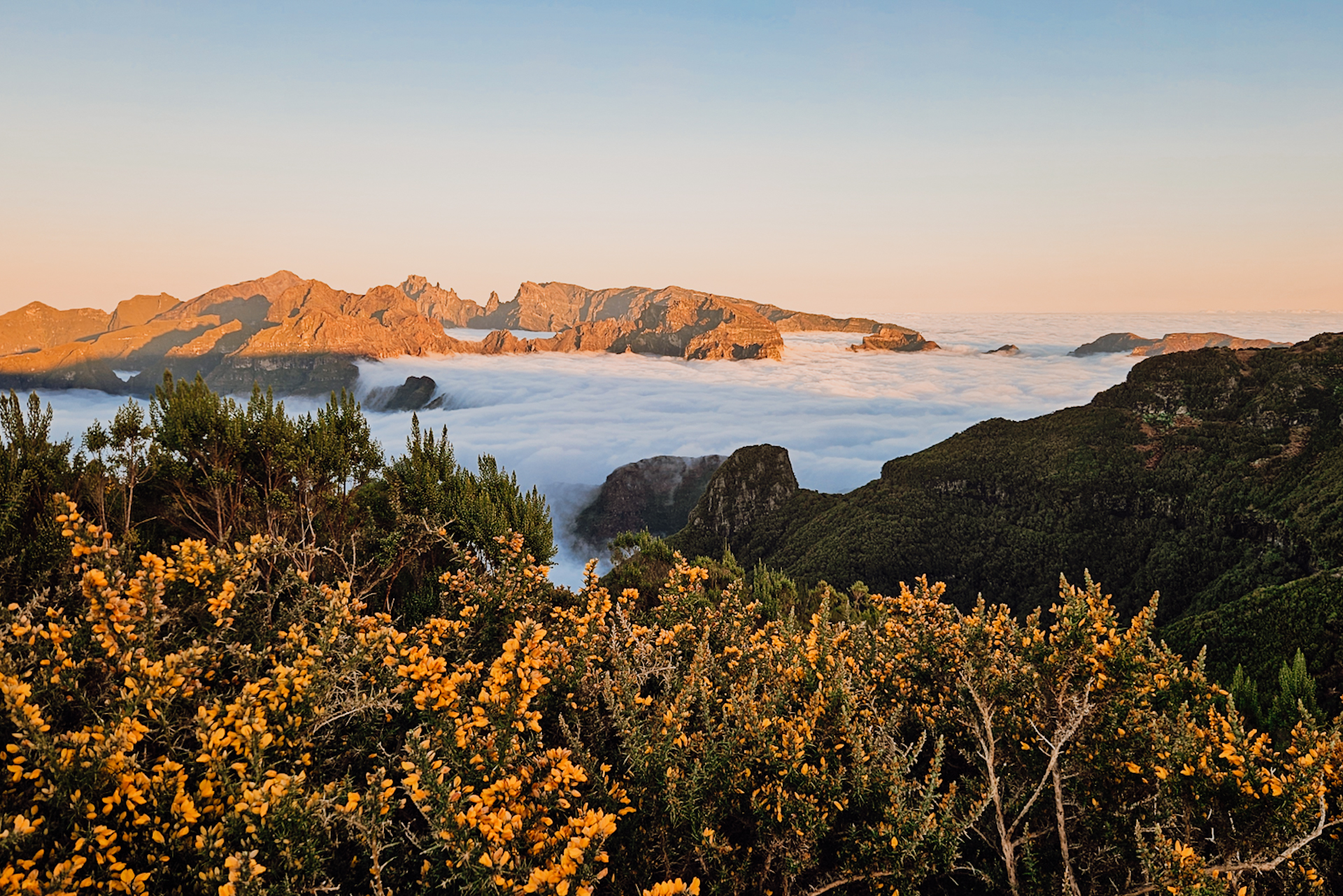 Madeira travel guide / Madeira Reisetipps