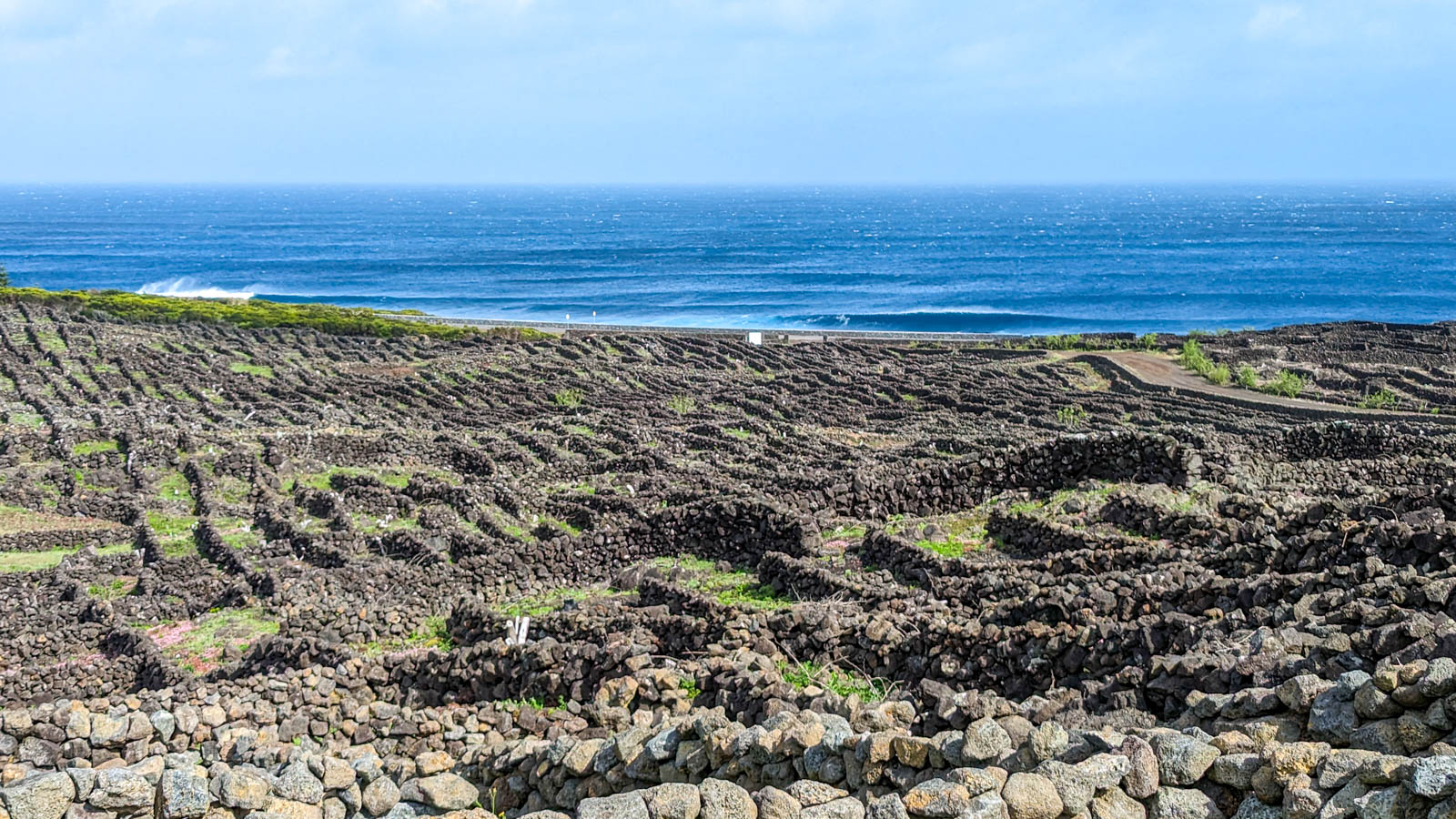 Pico Island, one of the best Portugal hidden gems / Pico Insel, ein richtiger Insider-Tipp in Portugal