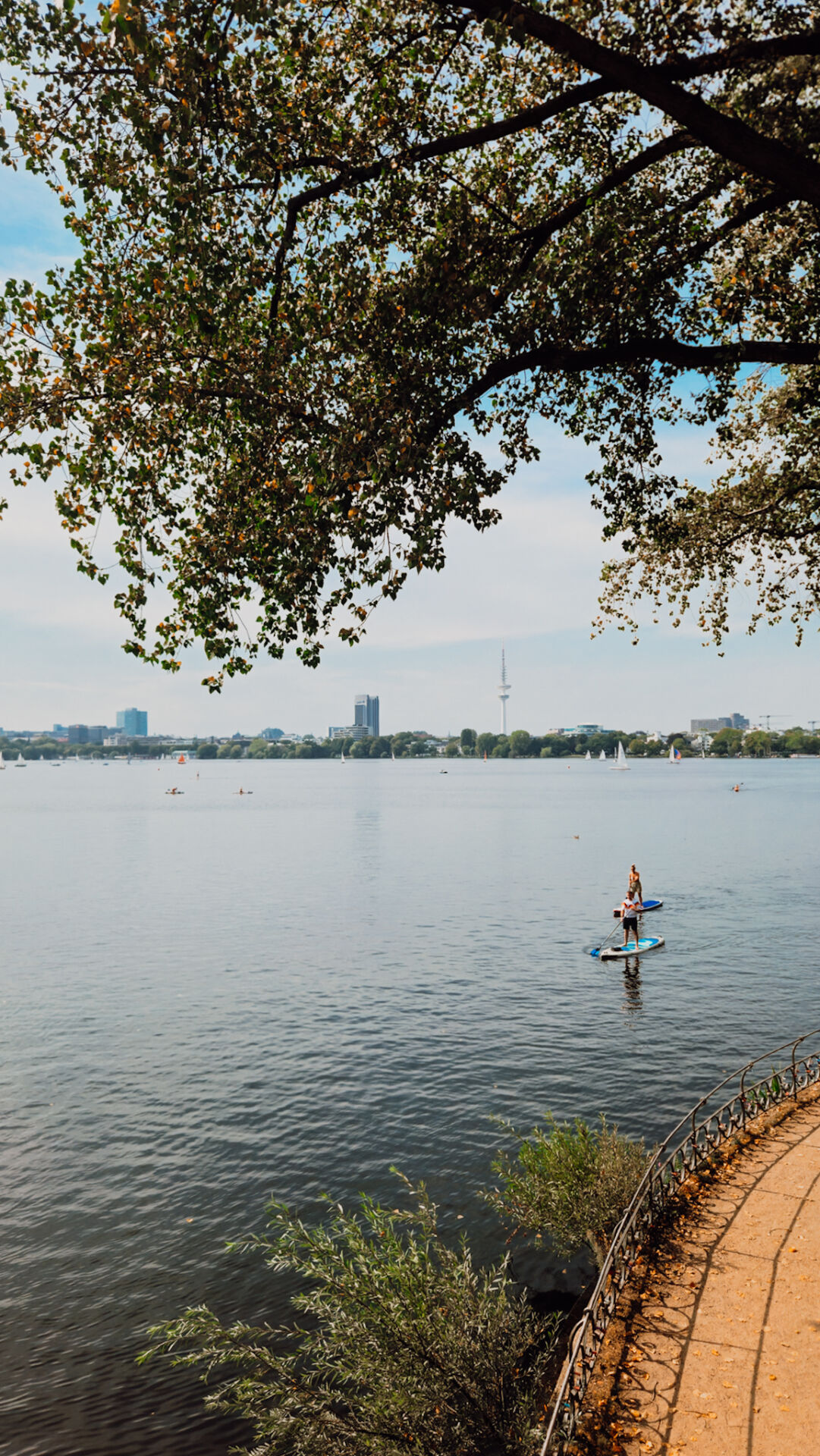 Außenalster, alternative things to do in Hamburg / Außenalster, ein Insider-Tipp in Hamburg