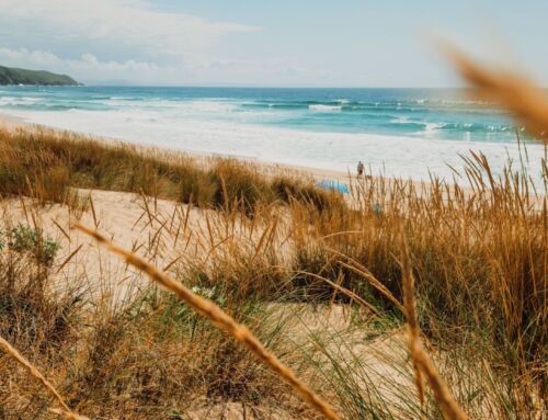 NORTHERN SPAIN ROAD TRIP | a dream along the unspoiled coast